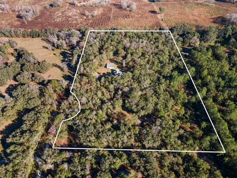 Tiny photo for 14600 NW 216th Place, Micanopy, FL 32667 (MLS # GC536027)