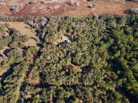 Tiny photo for 14600 NW 216th Place, Micanopy, FL 32667 (MLS # GC536027)