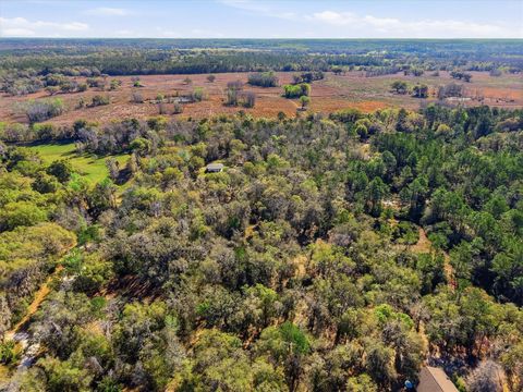 Tiny photo for 14600 NW 216th Place, Micanopy, FL 32667 (MLS # GC536027)