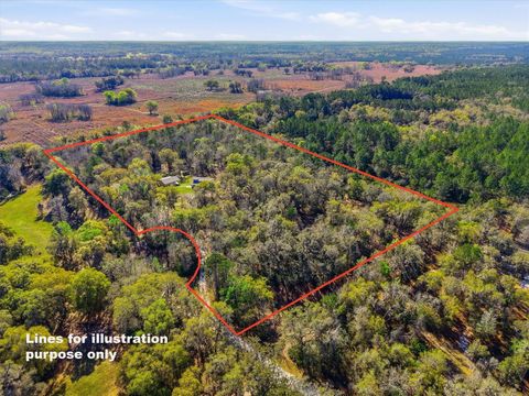 Tiny photo for 14600 NW 216th Place, Micanopy, FL 32667 (MLS # GC536027)