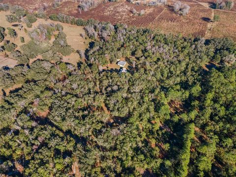 Tiny photo for 14600 NW 216th Place, Micanopy, FL 32667 (MLS # GC536027)