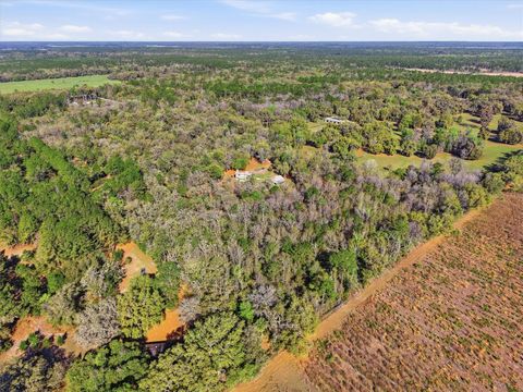 Tiny photo for 14600 NW 216th Place, Micanopy, FL 32667 (MLS # GC536027)
