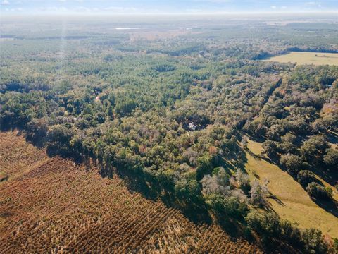 Tiny photo for 14600 NW 216th Place, Micanopy, FL 32667 (MLS # GC536027)