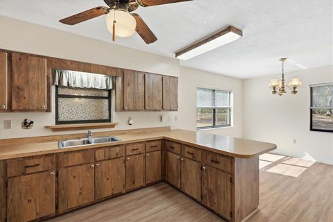 Tiny photo for 14600 NW 216th Place, Micanopy, FL 32667 (MLS # GC536027)