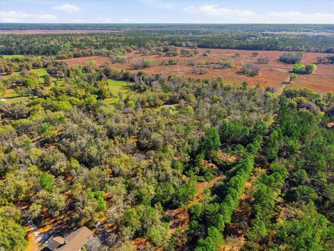 Tiny photo for 14600 NW 216th Place, Micanopy, FL 32667 (MLS # GC536027)