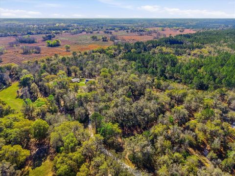 Tiny photo for 14600 NW 216th Place, Micanopy, FL 32667 (MLS # GC536027)