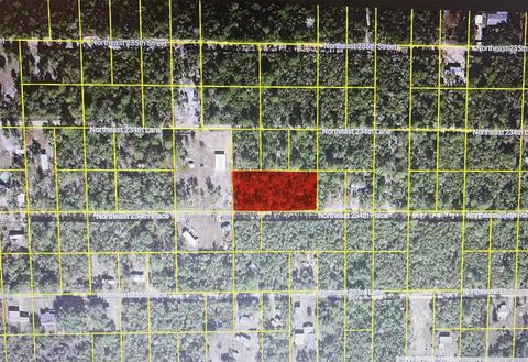 Photo of Tbd NE NE 234th Pl, Fort Mccoy, FL 32134 (MLS # OM725029)