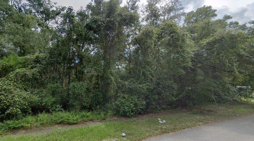 This 0.23-acre residential lot in Chiefland, FL. 

The lot provides plenty of space for a beautiful custom home. Only a short drive from downtown Chiefland.

Ready for development.