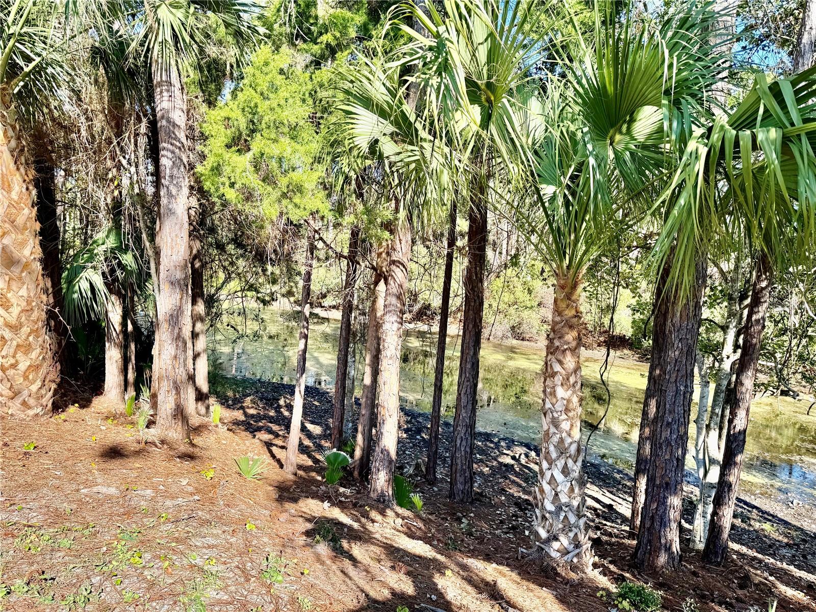 PALM COAST SEC 28 - Residential