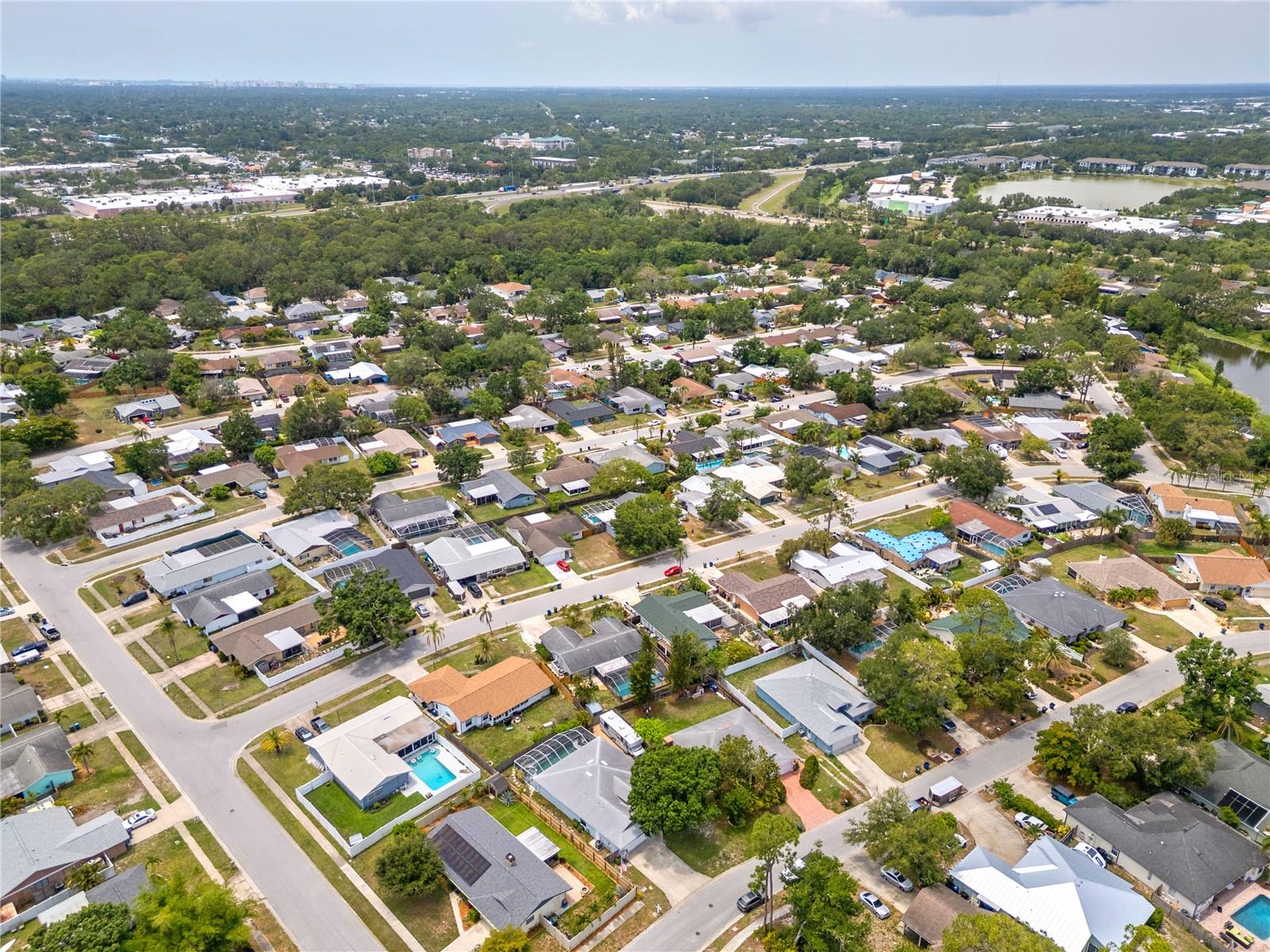 LAKE SARASOTA - Residential