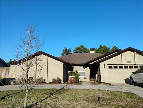 6645 FREEPORT DRIVE SPRING HILL FL 34608
