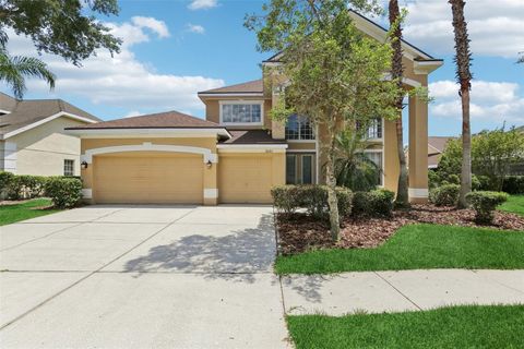 10205 DEERCLIFF DRIVE TAMPA FL 33647