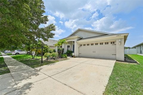 A home in RIVERVIEW