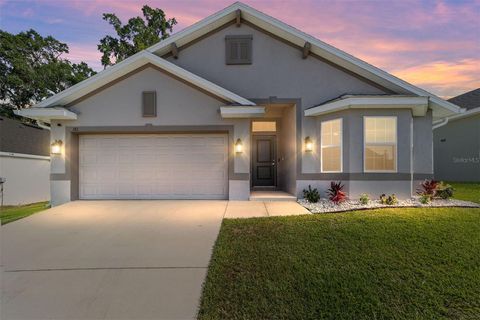 181 NW 45TH LOOP OCALA FL 34475