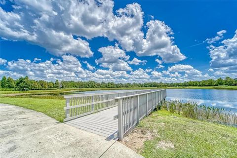 A home in APOLLO BEACH