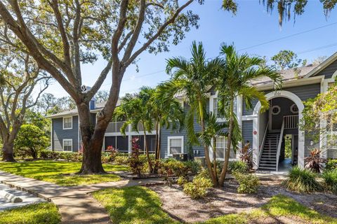 2101 FOX CHASE BOULEVARD 106 PALM HARBOR FL 34683