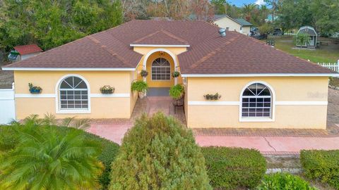 A home in KISSIMMEE