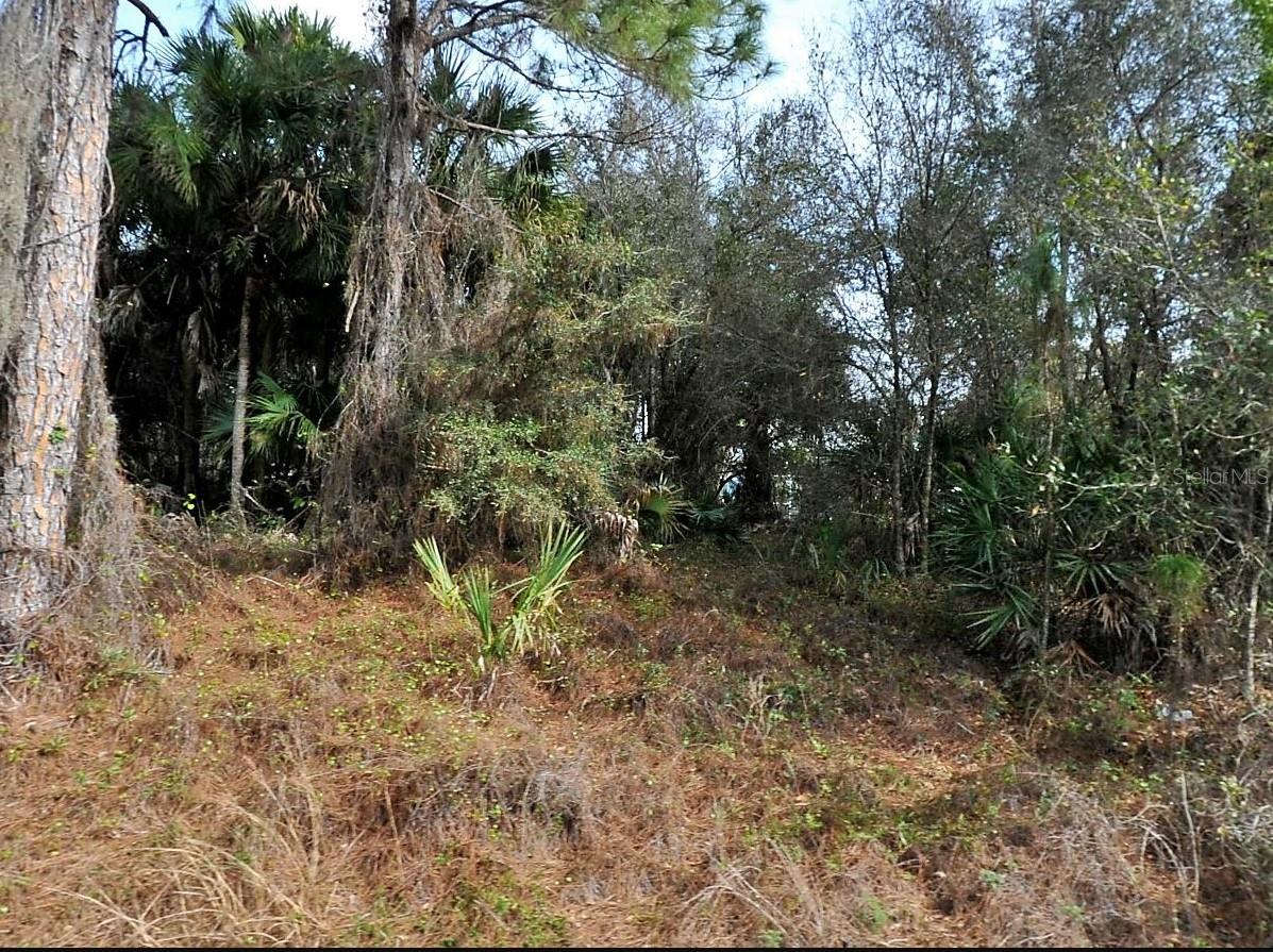 Discover your opportunity to own a single or double lot in a brand-new neighborhood! These spacious parcels provide the perfect foundation for your dream home, and best of all—they’re located outside of any flood zone