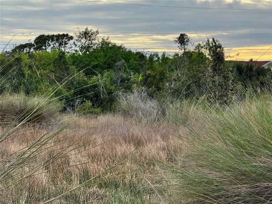 Welcome to 15769 Hennipen Circle, a residential homesite in the Gulf Access community, South Gulf Cove, only 15 minutes from Boca Grande and Englewood Beach. This lot offers public water and sewer, with power nearby, and is designated as a Non-Scrub Jay Permit zone, providing significant savings when you build. Nicely positioned on the interior of the circle, directly across from waterfront homes, the property enjoys a south-facing backyard perfect for a sunny pool year-round. Its central location within the neighborhood provides convenient access to community amenities. Bring your toys, boats and RVs welcome! The South Gulf Cove HOA is voluntary with dues of only $120 per year, and members will enjoy the clubhouse, outdoor Tiki Hut, recreational areas and a wide variety of social activities. Conveniently located between Punta Gorda and Venice, this homesite offers easy access to world-class fishing, Gulf beaches, championship golf courses, and a smooth commute to regional and international airports. An excellent opportunity to build your Florida lifestyle in a well-planned waterfront community. Assistance is available for new construction options, Call today for more info!