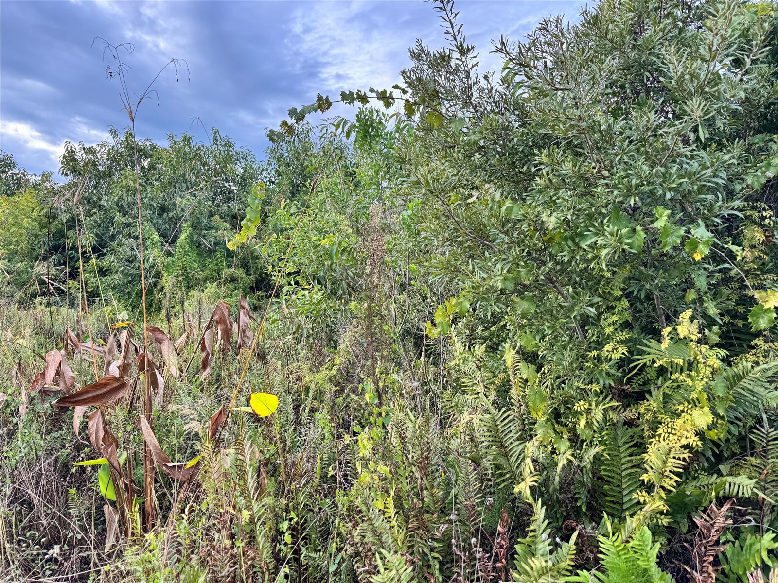 15769 HENNIPEN CIRCLE