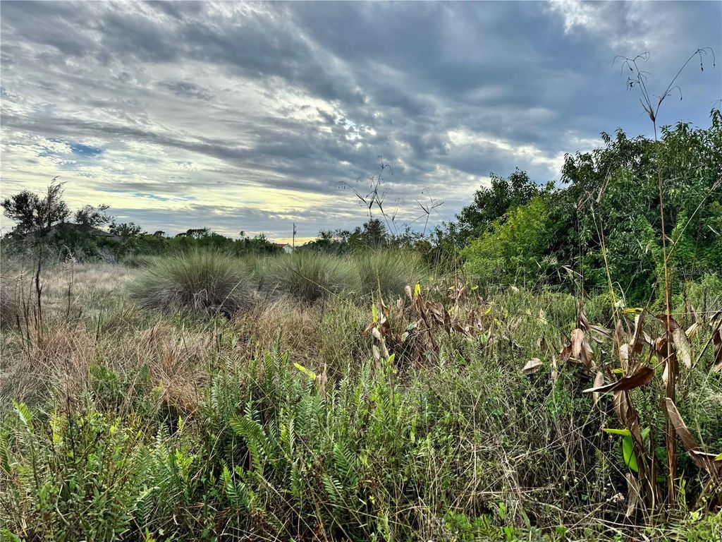 Photo of 15769 Hennipen Circle, Port Charlotte, FL 33981 (MLS # D6145253)