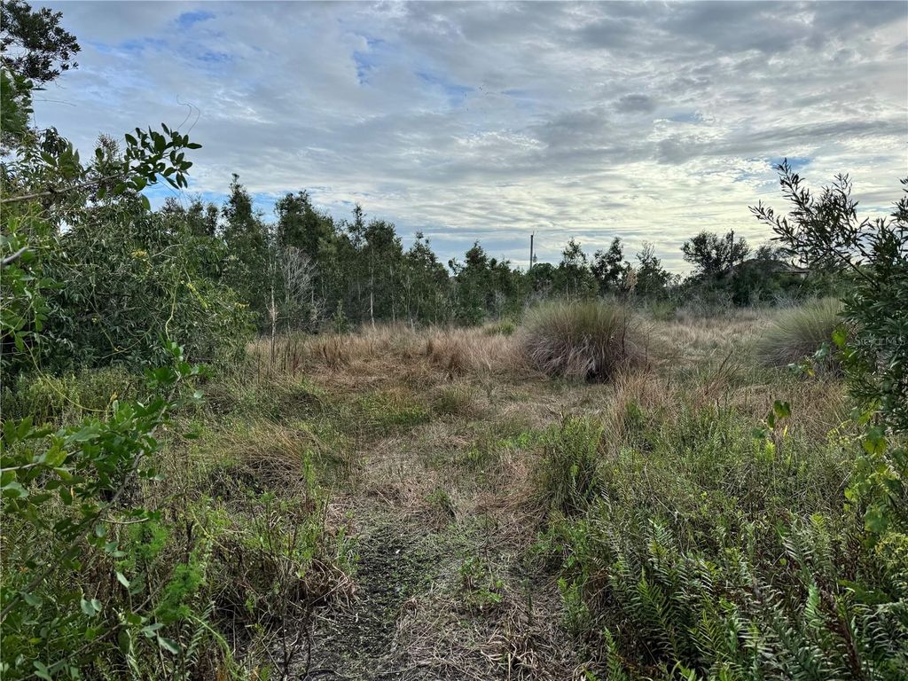 Photo of 15769 Hennipen Circle, Port Charlotte, FL 33981 (MLS # D6145253)