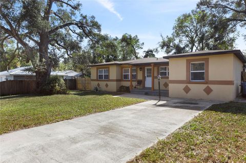 A home in SEFFNER