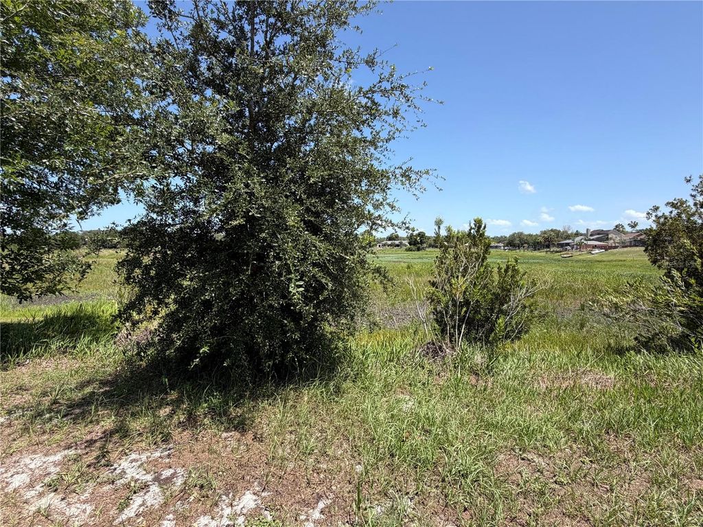 Photo of 5540 Baffin Circle, Spring Hill, FL 34606 (MLS # TB8531116)