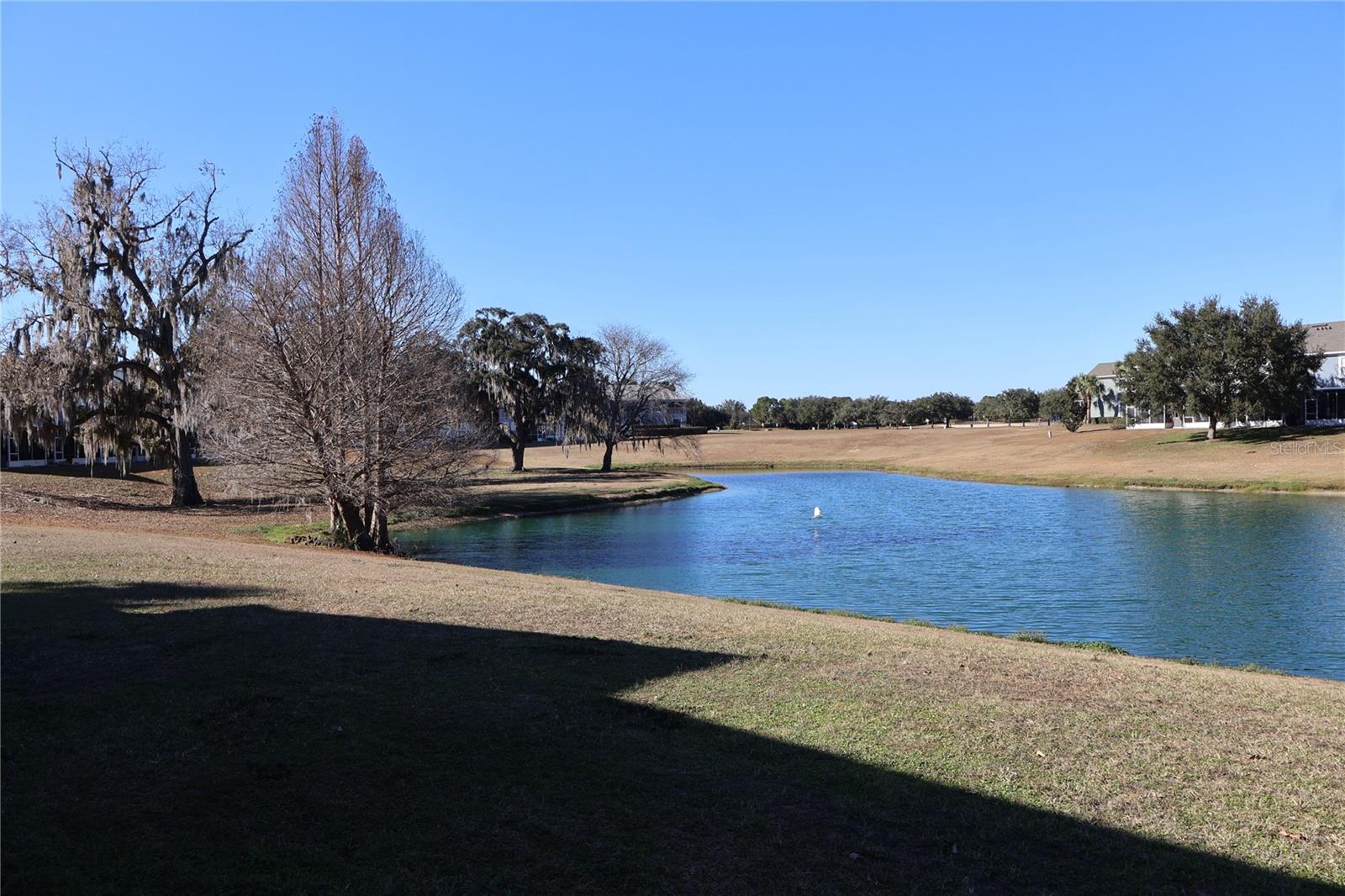 WYNCHASE TOWNHOMES - Residential Lease