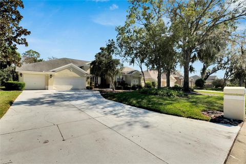 A home in PLANT CITY