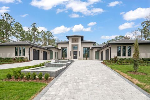 16320 PENDIO DRIVE BELLA COLLINA FL 34756