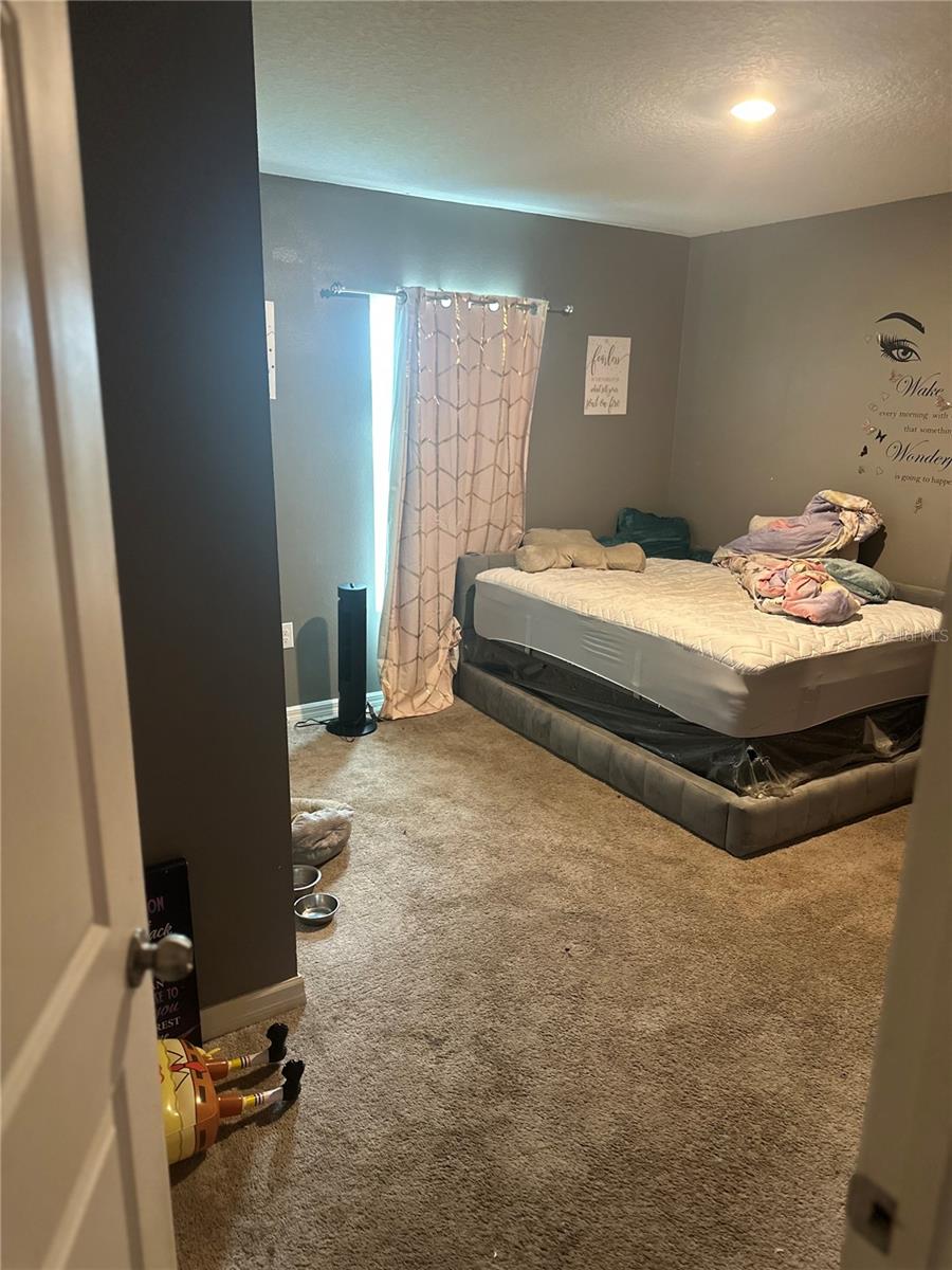 319 PUFFER COURT