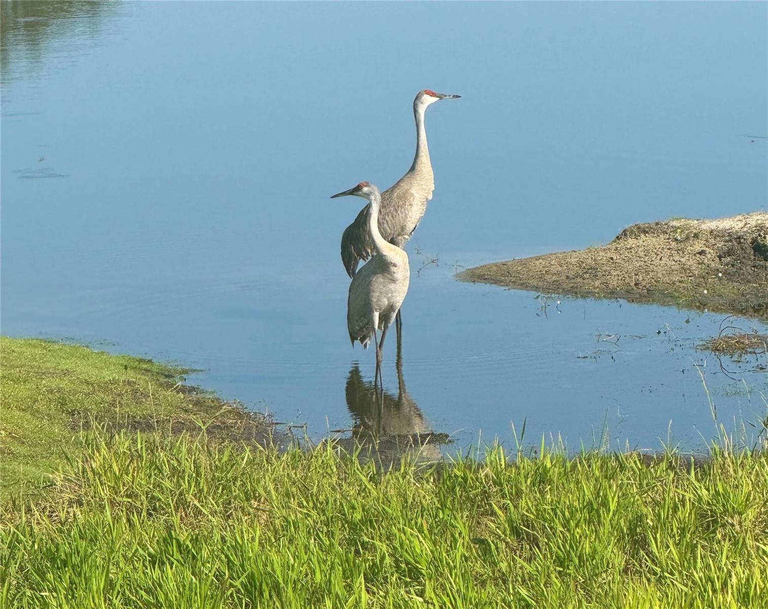 DEER CREEK GOLF & TENNIS RV RESORT PH 03-A - Residential