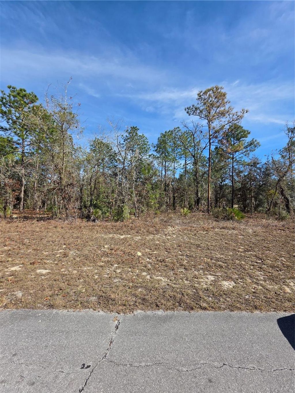 Photo of Tbd SW 87th Avenue, Ocala, FL 34473 (MLS # OM717016)