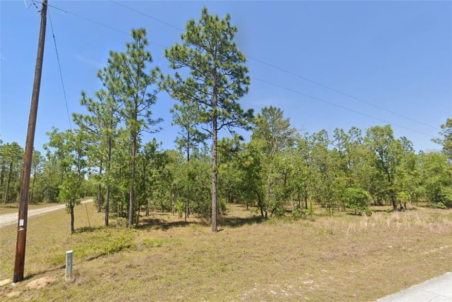 Affordable 0.25-acre high and dry, level lot in Rainbow Lakes Estates! This buildable homesite features mature trees offering natural privacy while still being close to main roads for easy access to Dunnellon, Ocala, Inverness, and Chiefland. Located just minutes from CR 337 with a direct route to Crystal River and the Gulf of Mexico. No HOA and site-built homes only (no mobile homes). Near power with no required timeline to build—ideal for a primary residence, future homesite, or investment with low annual taxes. Enjoy a peaceful setting surrounded by lakes, parks, and outdoor recreation while still being a short drive to shopping, dining, and everyday conveniences.