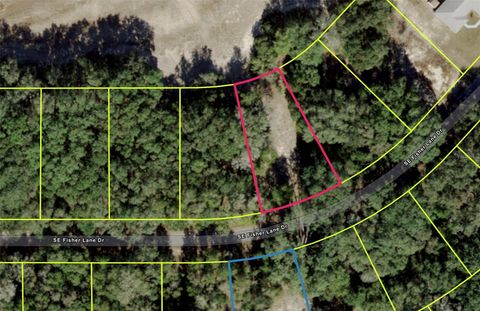 SE FISHER LANE DRIVE OCKLAWAHA FL 32179