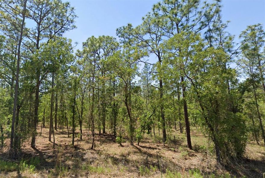 Build your dream home on this beautiful parcel located in the sought-after community of Rainbow Lakes Estates in Dunnellon, FL. Enjoy country-style living with plenty of space, privacy, and natural surroundings while still being close to everyday conveniences. This area offers endless outdoor activities, including fishing, kayaking, and tubing on the crystal-clear Rainbow River, hiking and nature exploring in Goethe State Forest, and boating on nearby Lake Rousseau. Rainbow Lakes Estates features paved streets, community parks, a clubhouse, play areas, and a lake for resident enjoyment—all with no HOA and a peaceful rural atmosphere. Despite the serene setting, you’re just a short drive to local stores, shops, and restaurants in Dunnellon for easy access to groceries and essentials. Whether you’re looking to build now or invest for the future, this spacious lot offers the perfect opportunity to create your ideal Florida retreat.