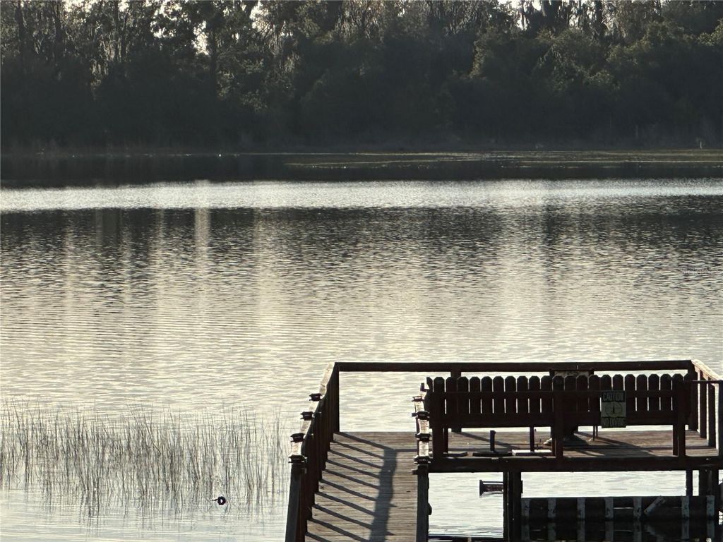 Photo of 41515 Silver Drive, Umatilla, FL 32784 (MLS # O6376572)