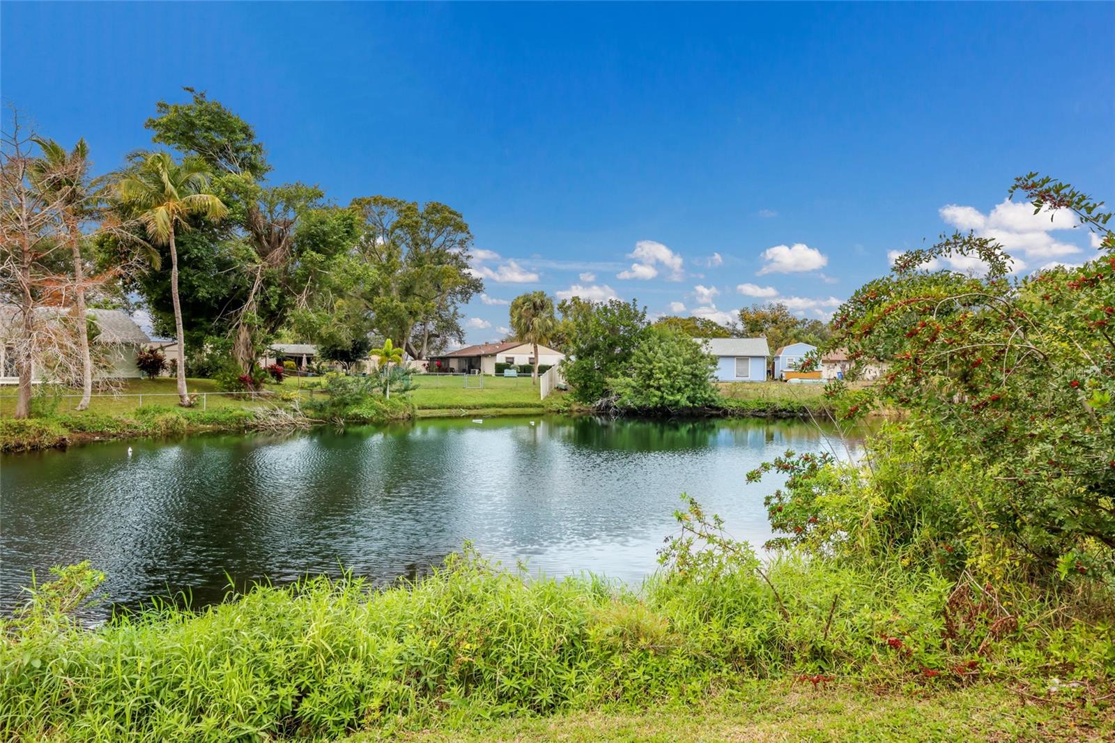 CORDOVA LAKES PH II - Residential