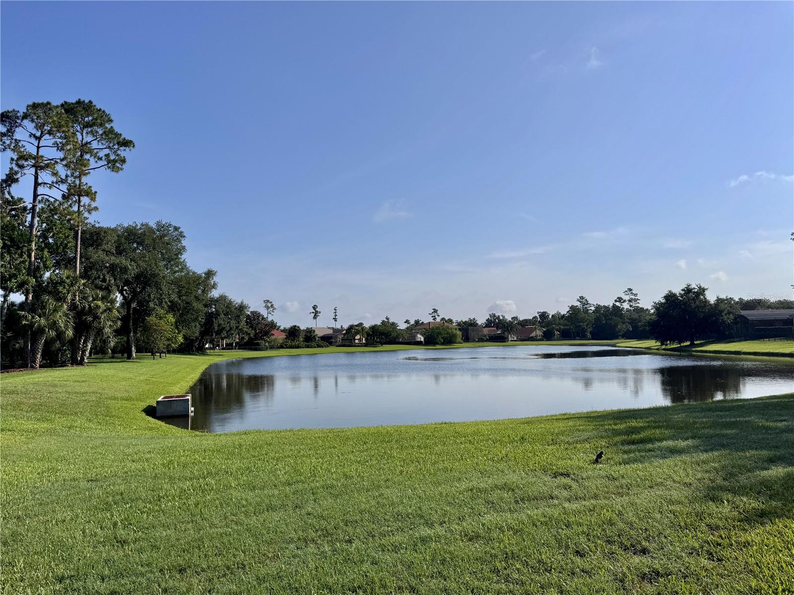 3225 REGAL CREST DRIVE