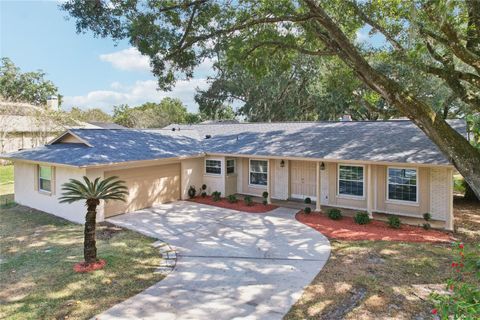 Photo of 3844 Seixas Place, Land O Lakes, FL 34639 (MLS # TB8444536)