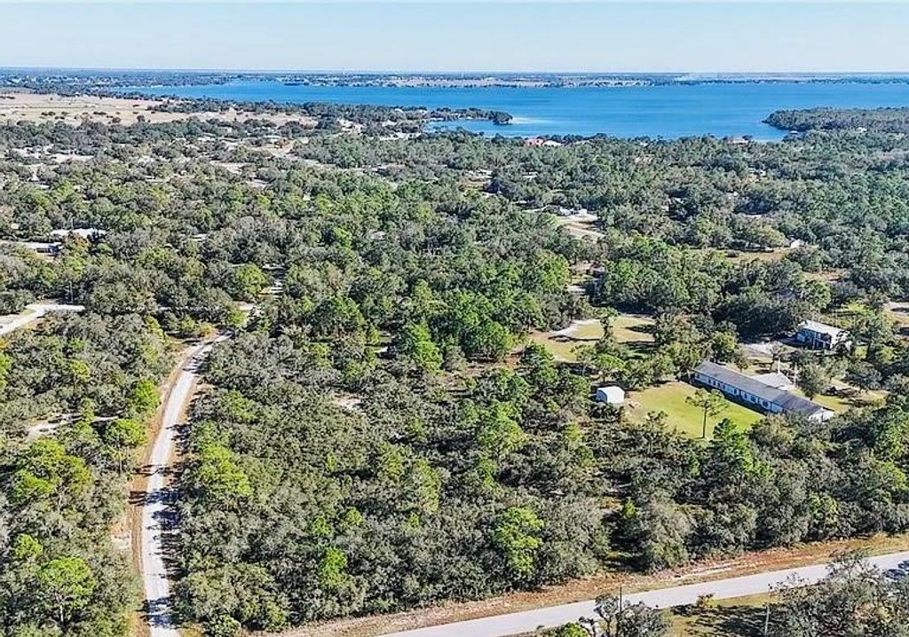 Photo of 919 Wildflower Street, Lake Placid, FL 33852 (MLS # TB8354078)