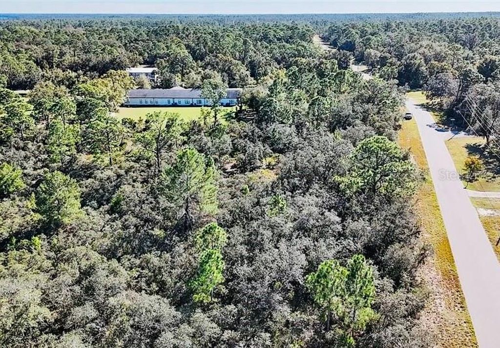 Photo of 919 Wildflower Street, Lake Placid, FL 33852 (MLS # TB8354078)