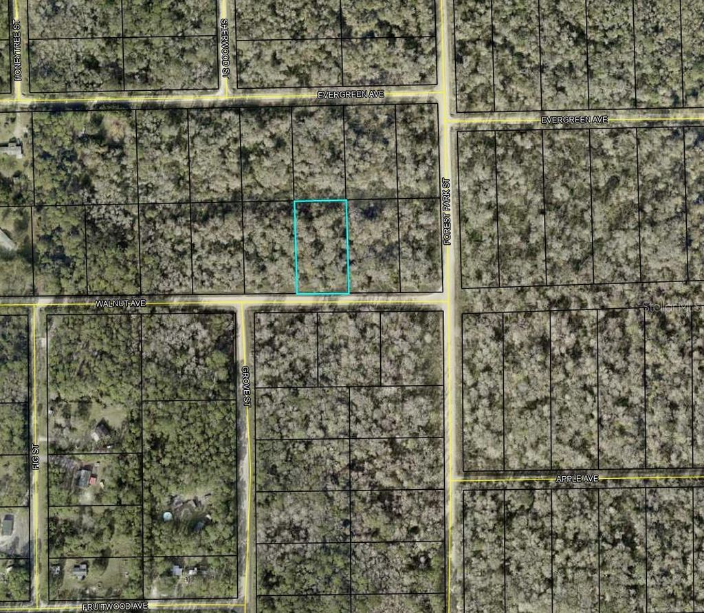 Photo of 4030 Walnut Avenue, Bunnell, FL 32110 (MLS # TB8455304)