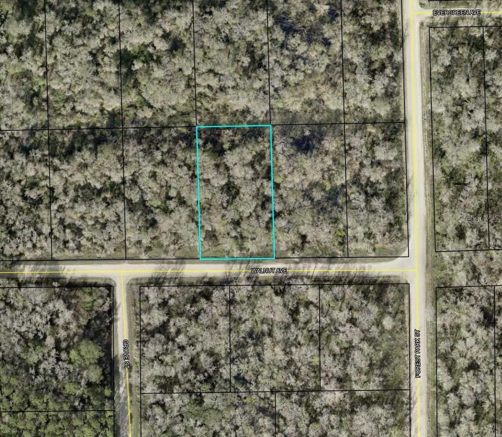 Photo of 4030 Walnut Avenue, Bunnell, FL 32110 (MLS # TB8455304)