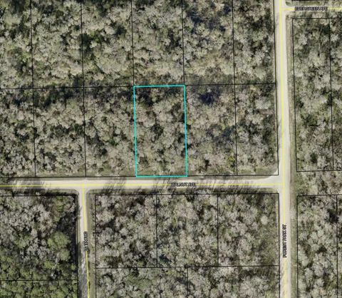 4030 WALNUT AVENUE BUNNELL FL 32110
