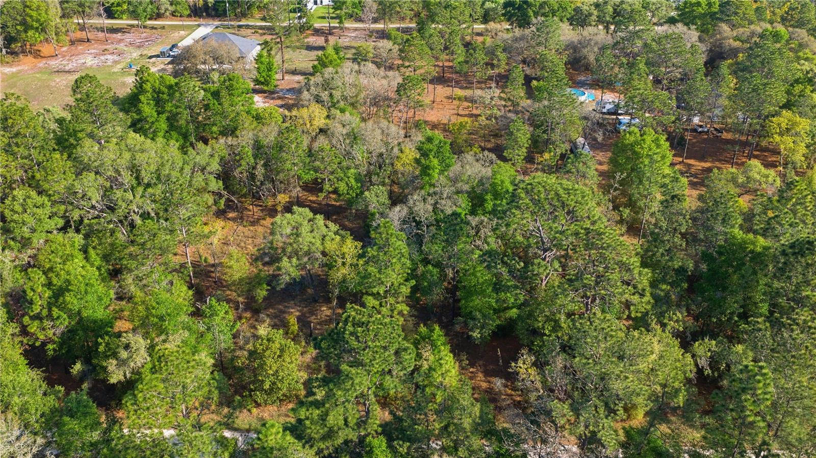 ROLLING HILLS - Land