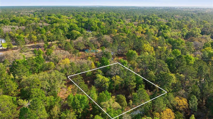 Excellent opportunity to purchase land in the Rolling Hills neighborhood.  This vacant lot is 1.16 acres.  NO HOA. Mobile homes are not permitted.  Come see why Marion County is highly sought after.  There are an abundance of springs and state parks to visit.  Marion County is home to WEC, which is known internationally for horse shows.   Opportunity awaits, start investing in your future, and build your dream home today!