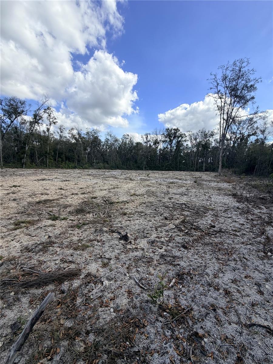 PINEY WOODS OF OLD TOWN - Land