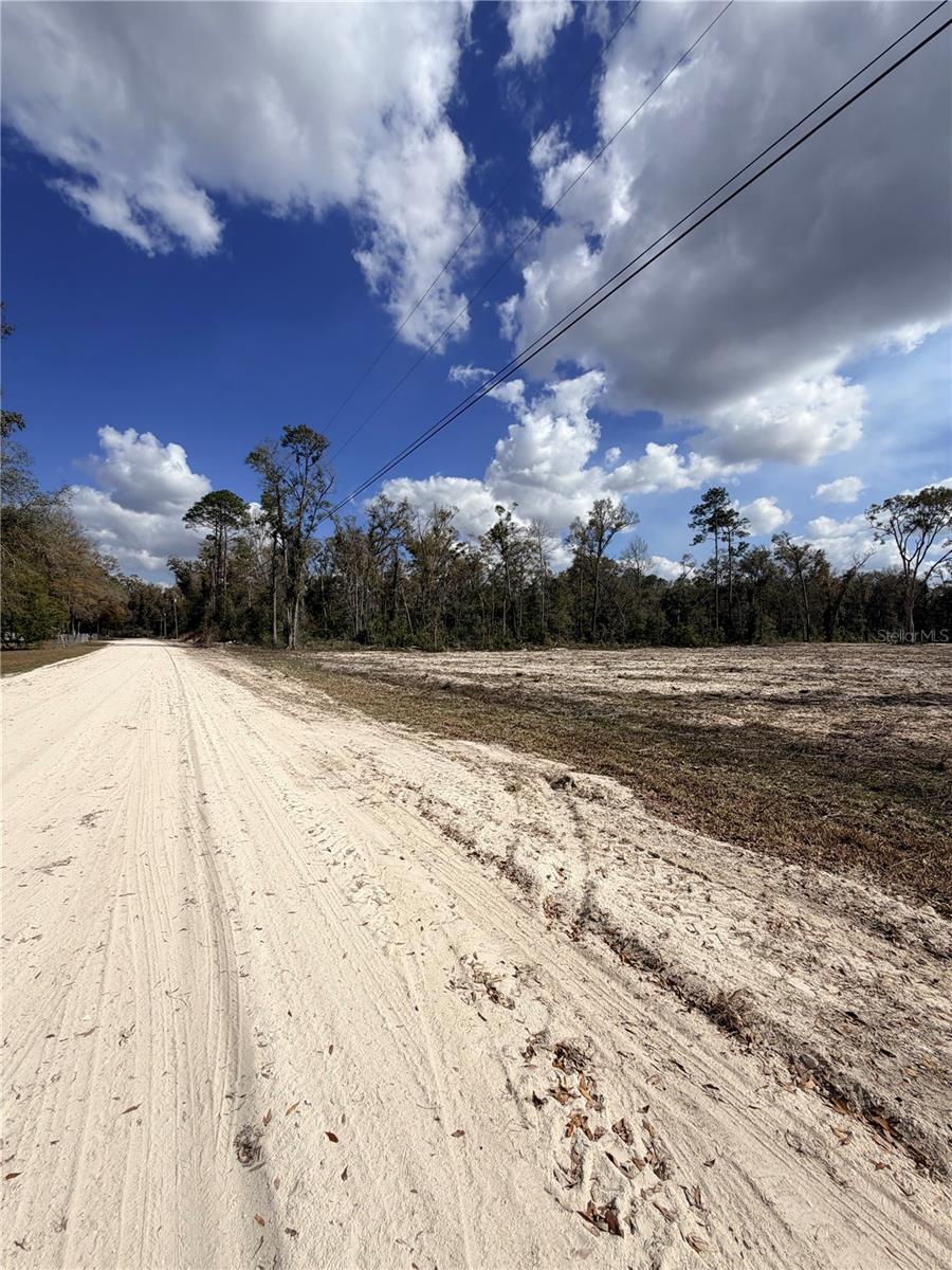 PINEY WOODS OF OLD TOWN - Land